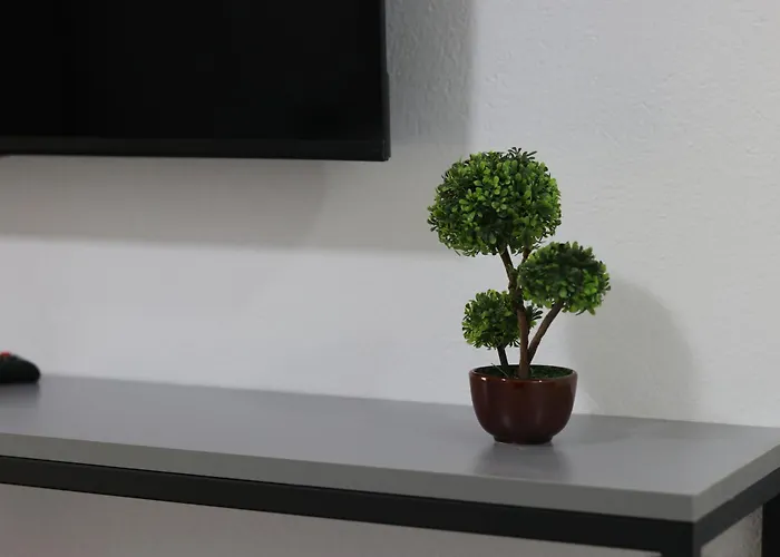 Neranxi Zajazd Himara